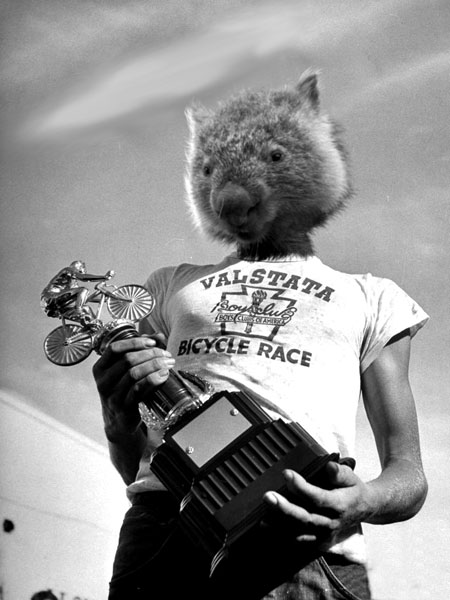 03_wombat