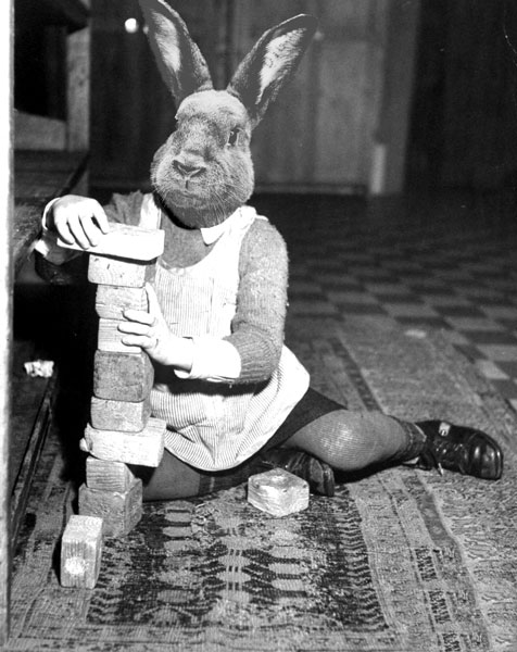 10_lapin