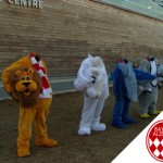 arsenal-500x375