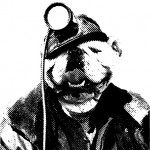 bulldog_mimner