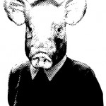 cochon