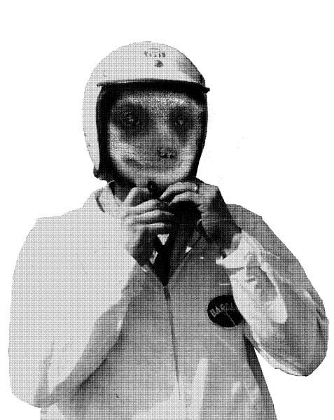 pilote
