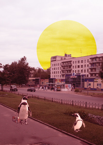 pingu03